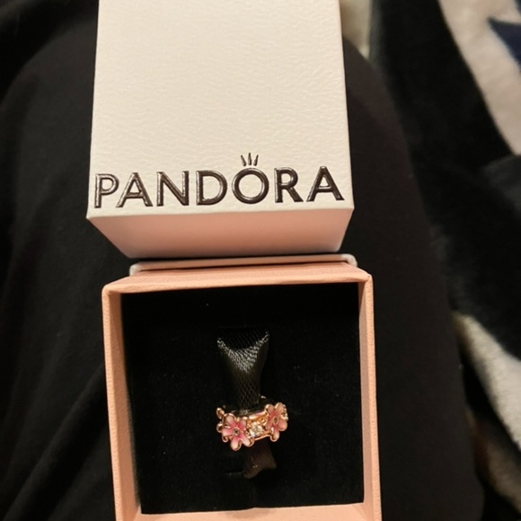 Pandora Bracelet w/ Charms - Picture 7 of 8